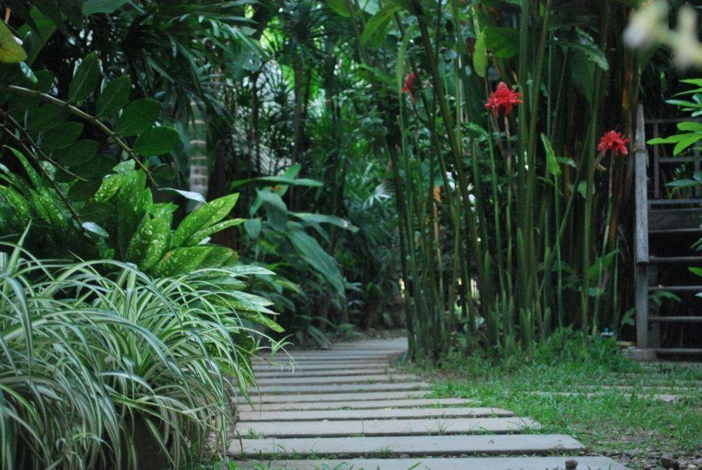 Breeze Of Pai Guesthouse Exterior foto